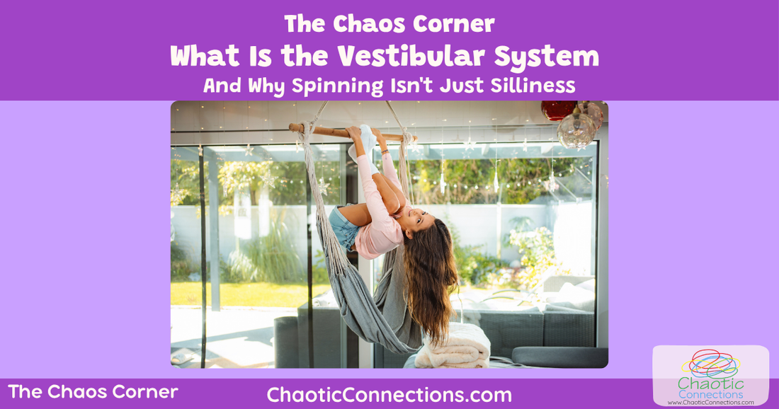 What Is the Vestibular System — And Why Spinning Isn't Just Silliness
