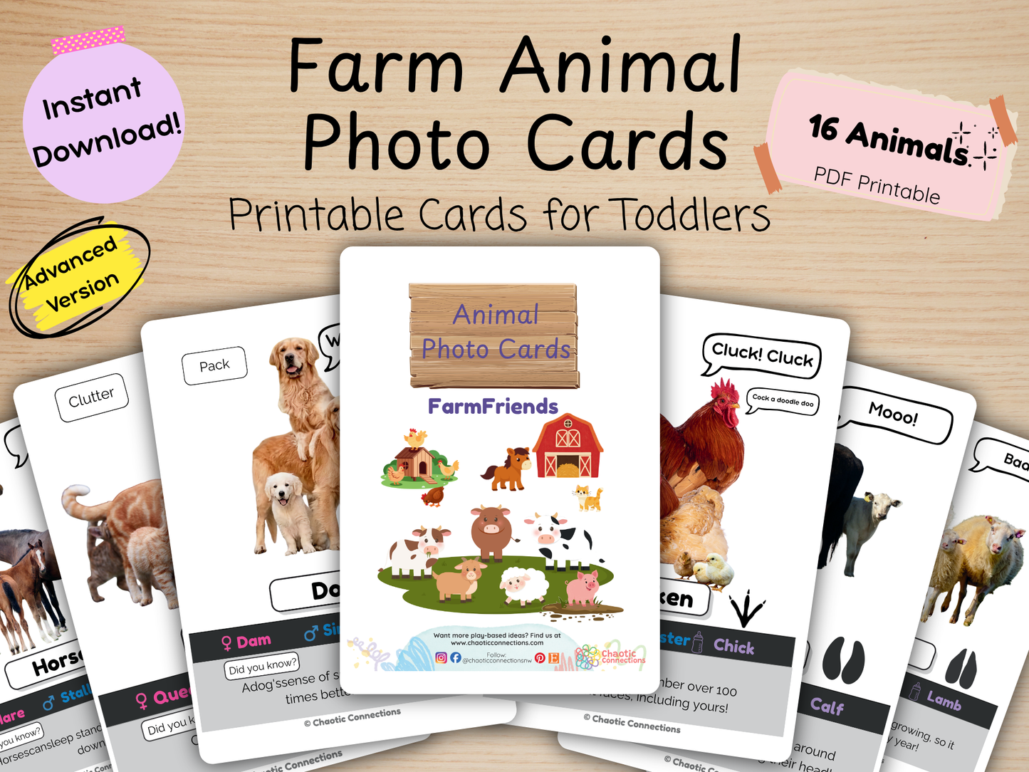 Farm Animal Photo Cards - Advanced Edition | 16 Real Photo Flash Cards with Fun Facts, Sounds & Family Names | Printable Learning Activity