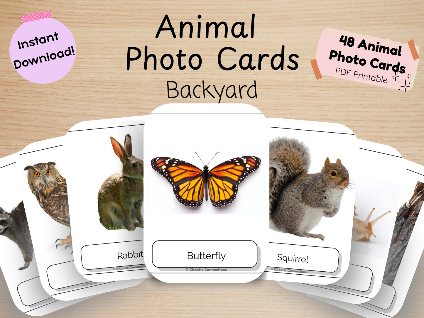Backyard Animal Photo Cards | 44 Real Photo Flash Cards | Printable Nature Learning Activity