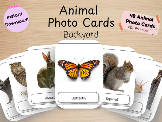 Backyard Animal Photo Cards | 44 Real Photo Flash Cards | Printable Nature Learning Activity