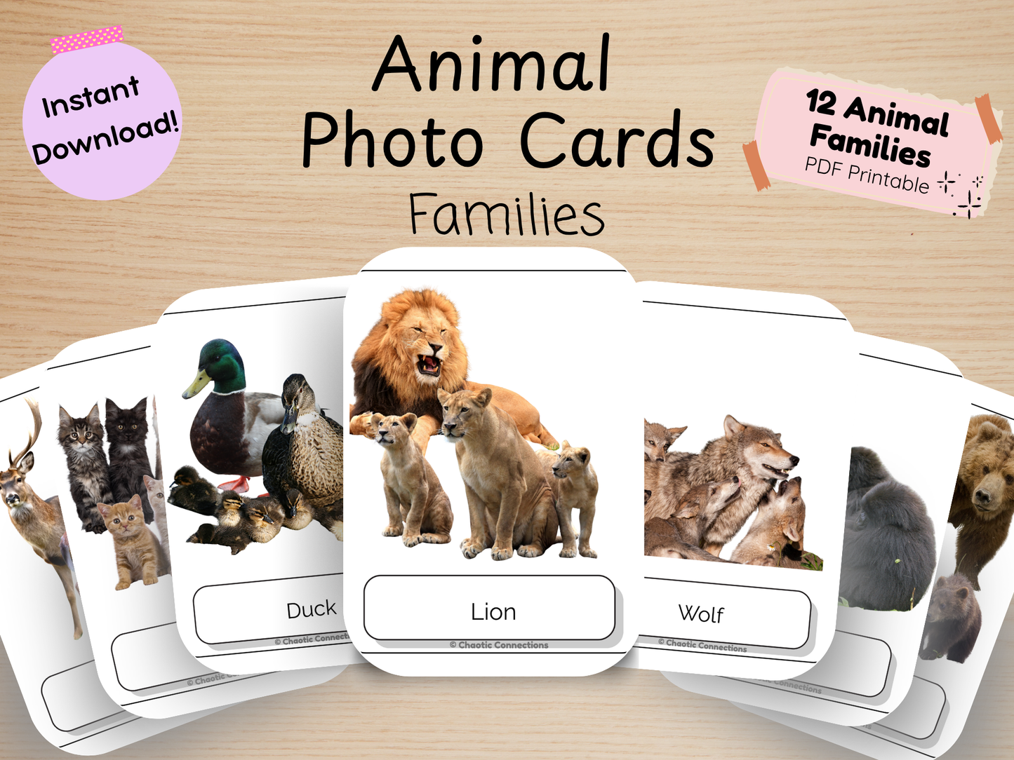 Animal Family Matching Cards | 48 Real Photo Cards | Printable Toddler Matching Activity