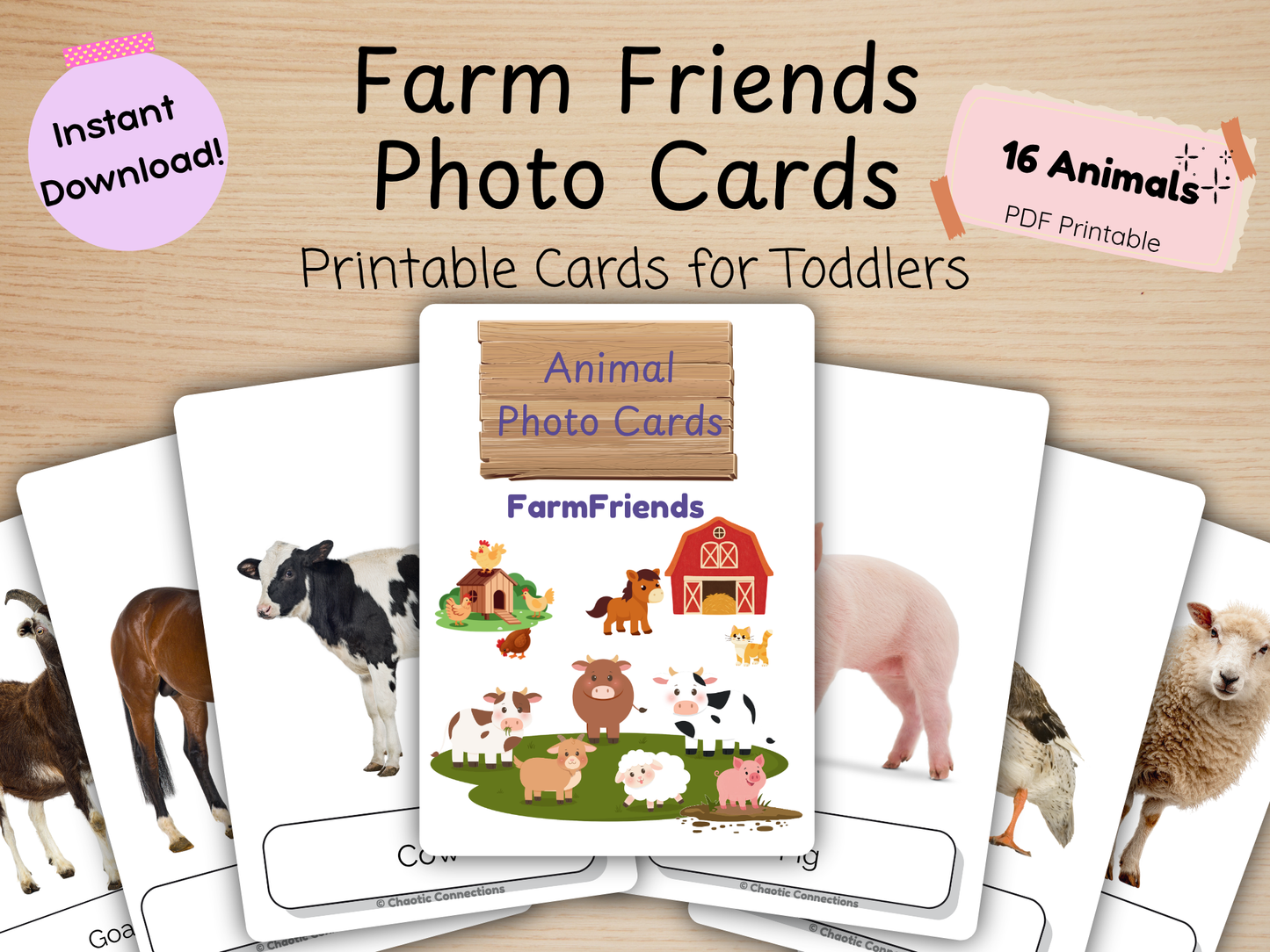 Farm Friends Photo Cards | 16 Real Photo Flash Cards | Printable Toddler Learning Activity