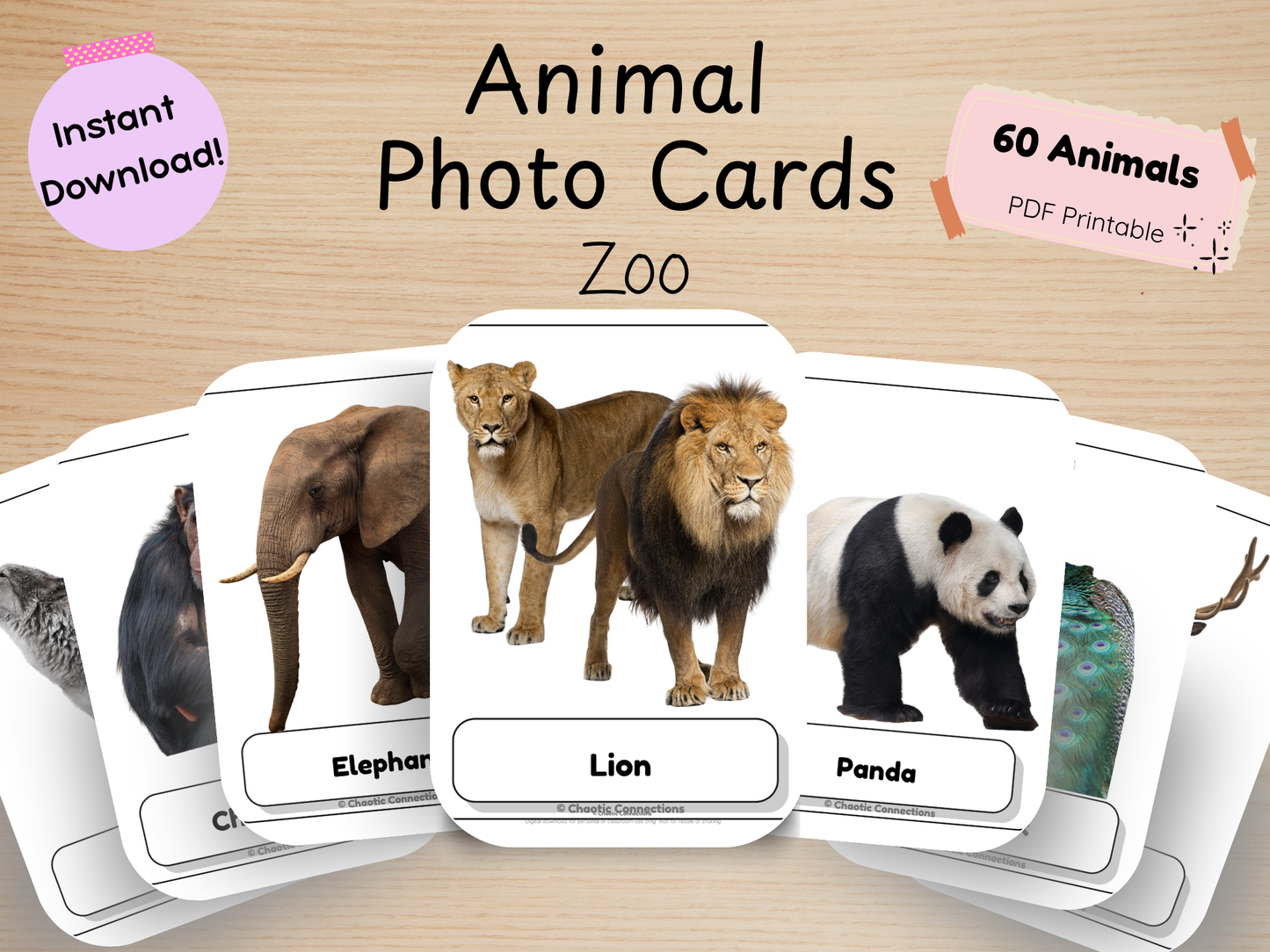 Zoo Animal Photo Cards | 60 Real Photo Flash Cards | Printable Toddler Learning Activity