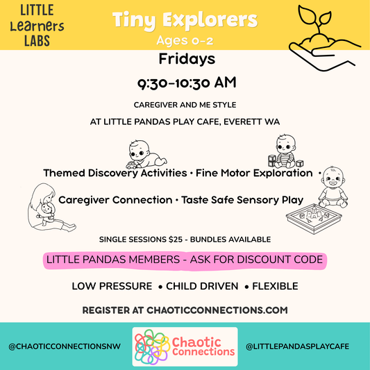 Tiny Explorers - Summer 2026 | Little Learners Labs