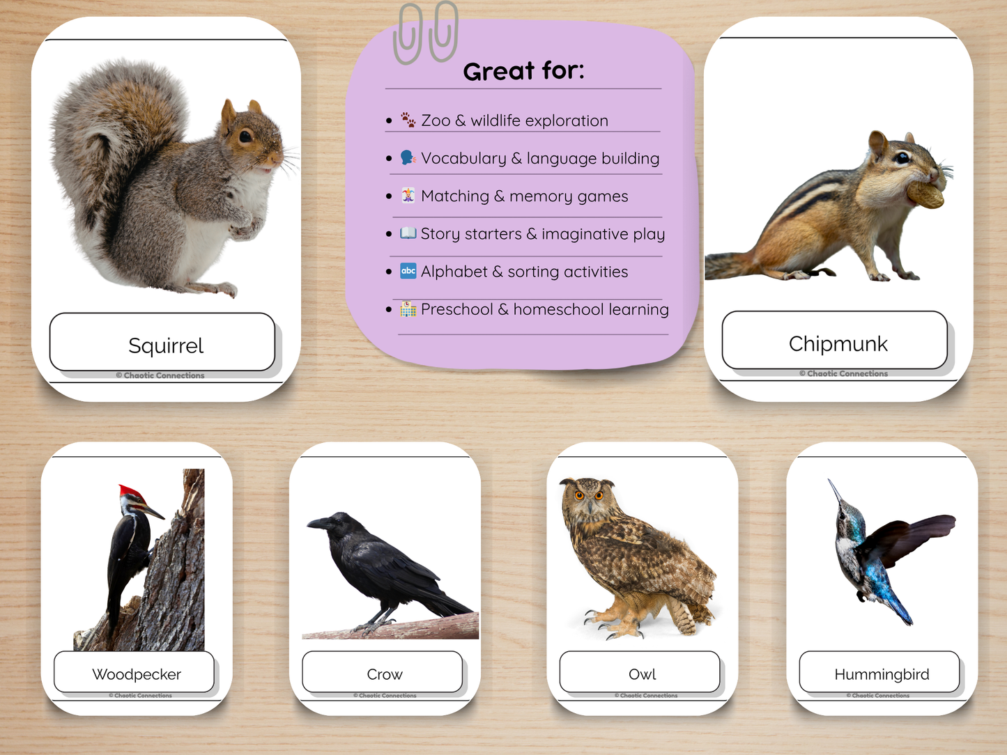 Backyard Animal Photo Cards | 44 Real Photo Flash Cards | Printable Nature Learning Activity