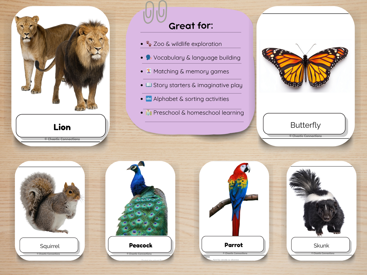Zoo + Backyard Animal Photo Cards Bundle | 104 Real Photo Flash Cards | Printable Toddler Learning