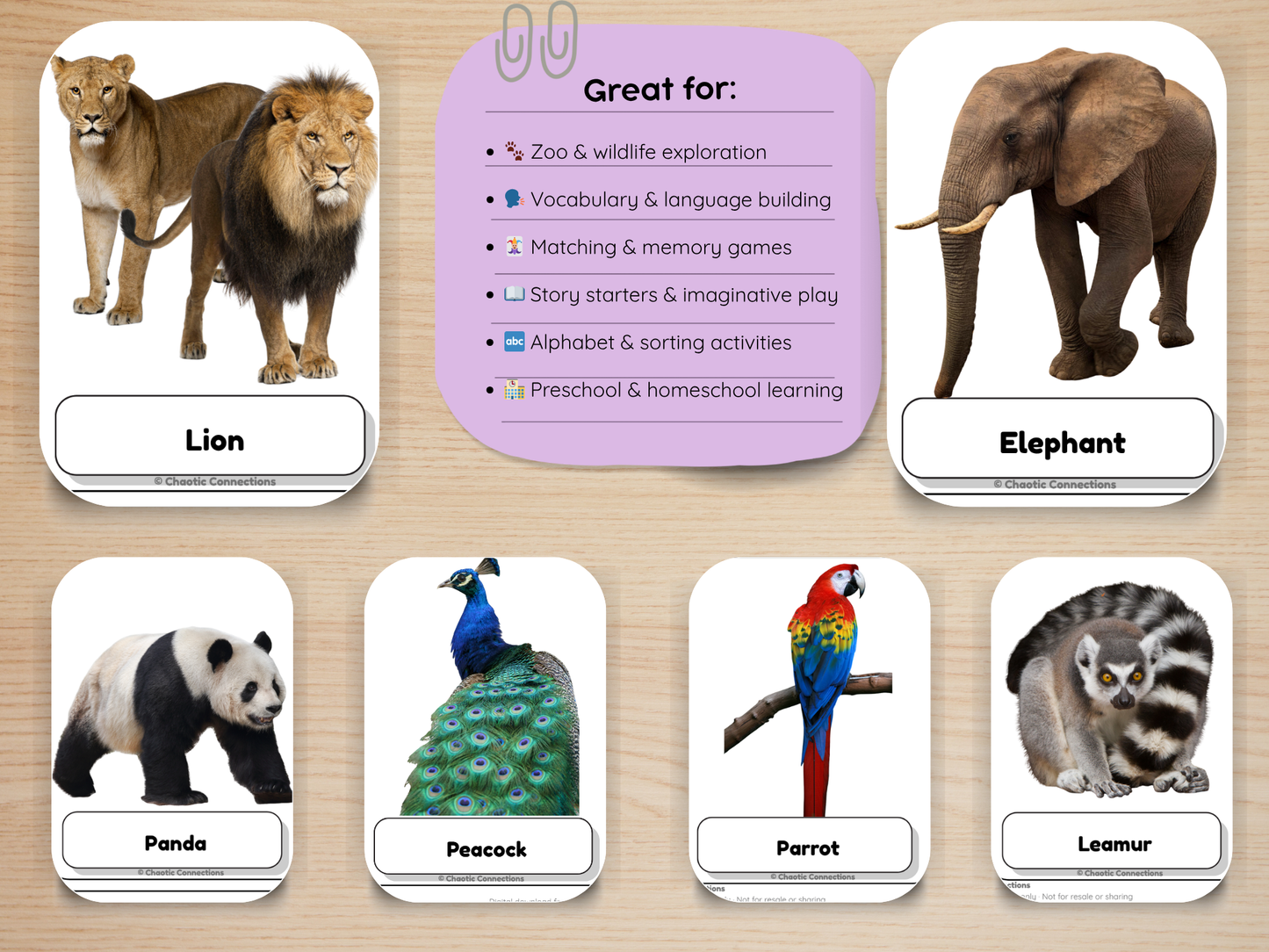 Zoo Animal Photo Cards | 60 Real Photo Flash Cards | Printable Toddler Learning Activity