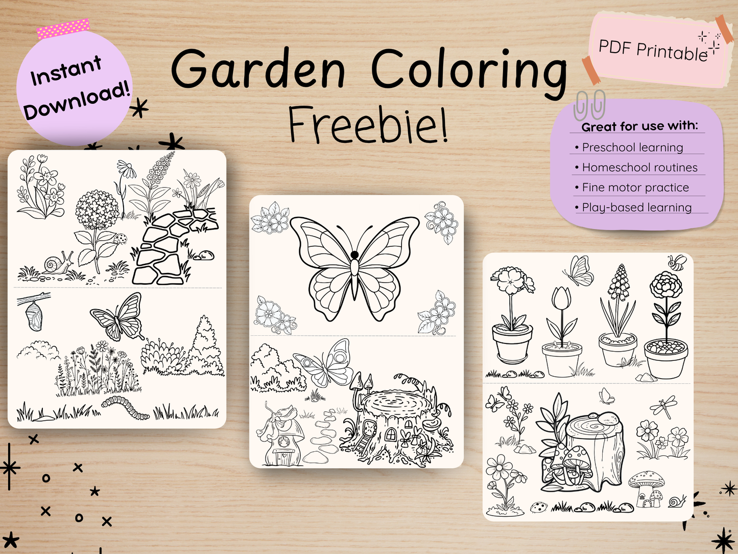 Bugs & Garden Companion Pack