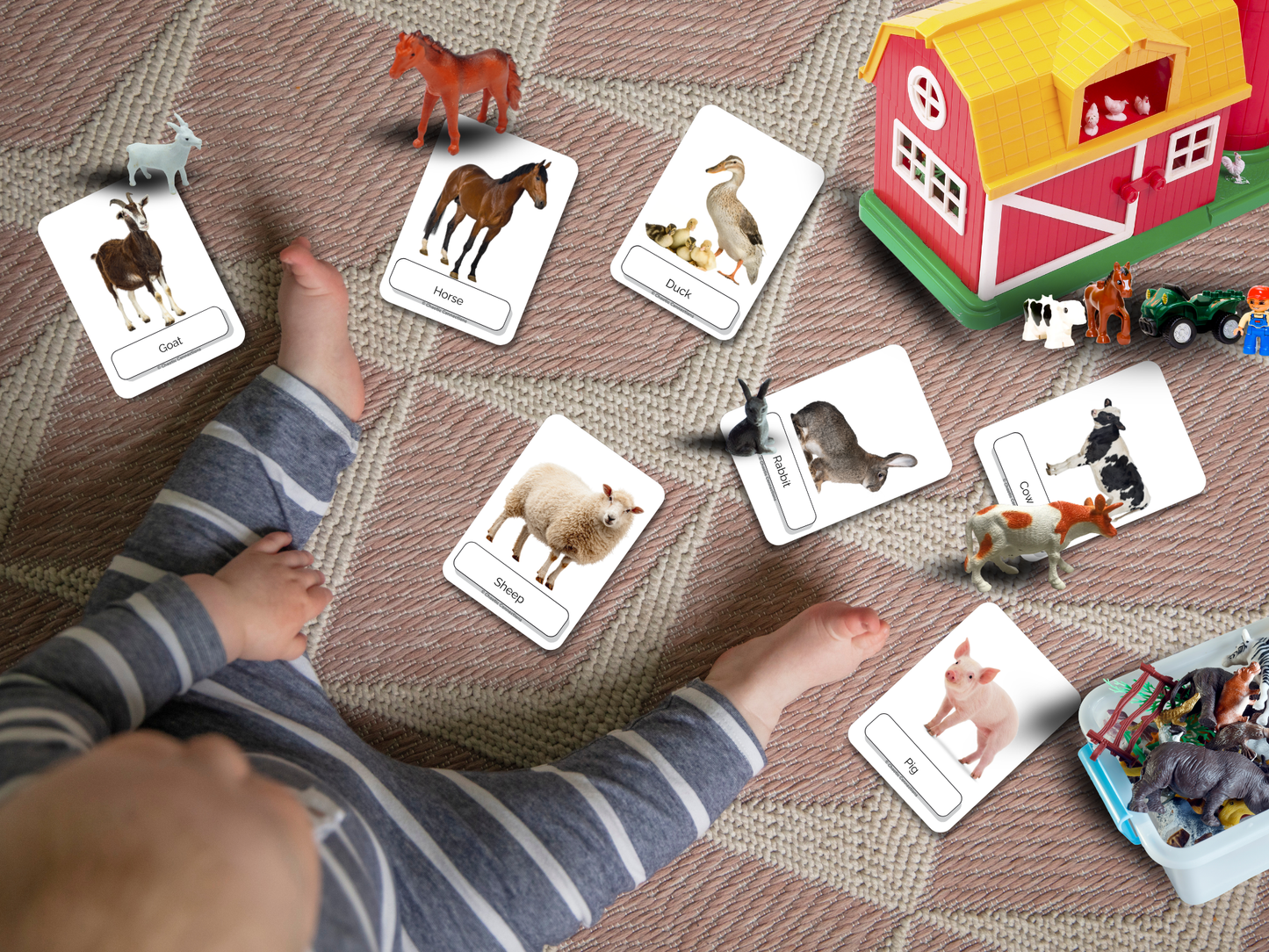 Farm Friends Photo Cards | 16 Real Photo Flash Cards | Printable Toddler Learning Activity