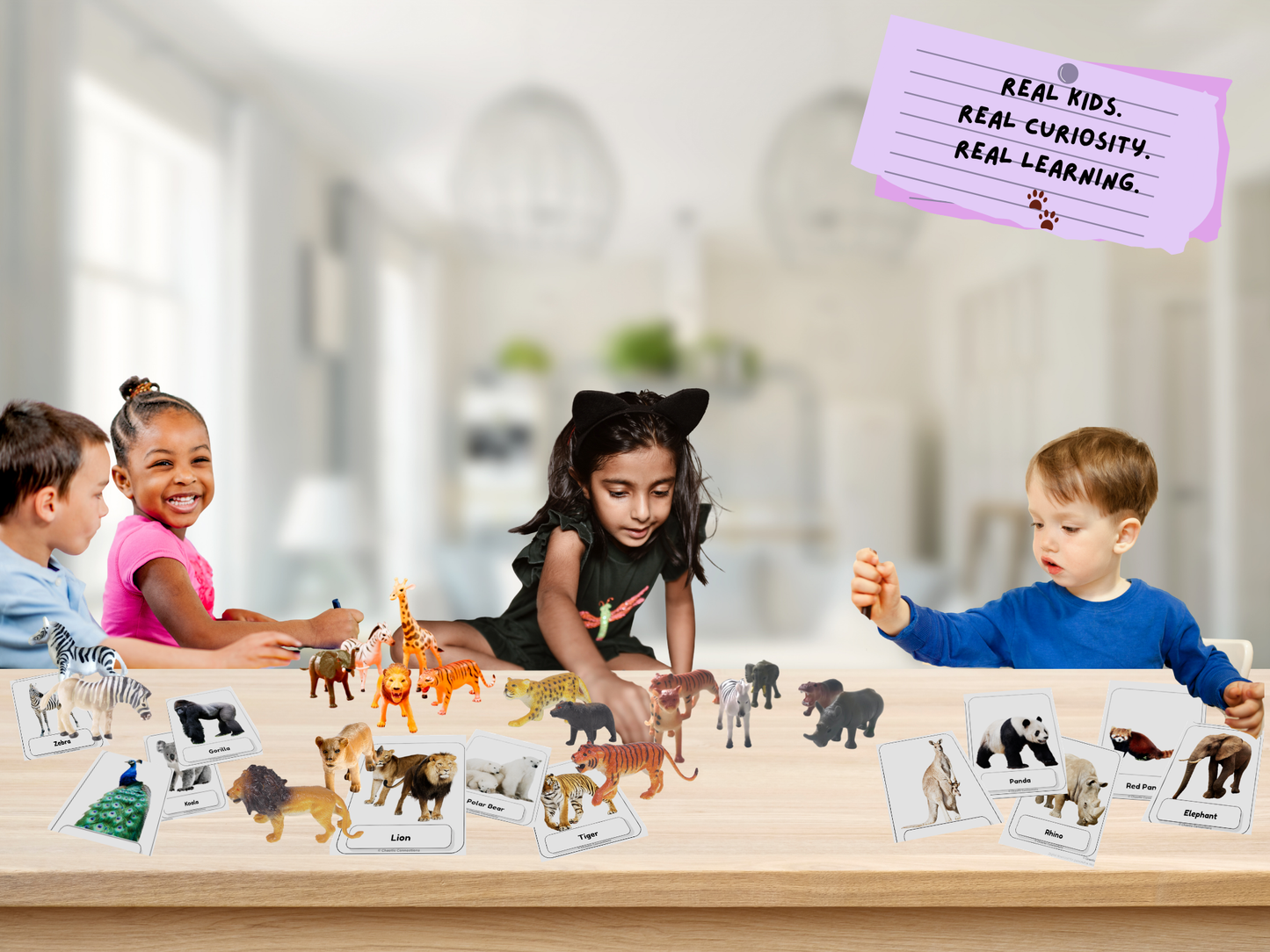 Zoo Animal Photo Cards | 60 Real Photo Flash Cards | Printable Toddler Learning Activity