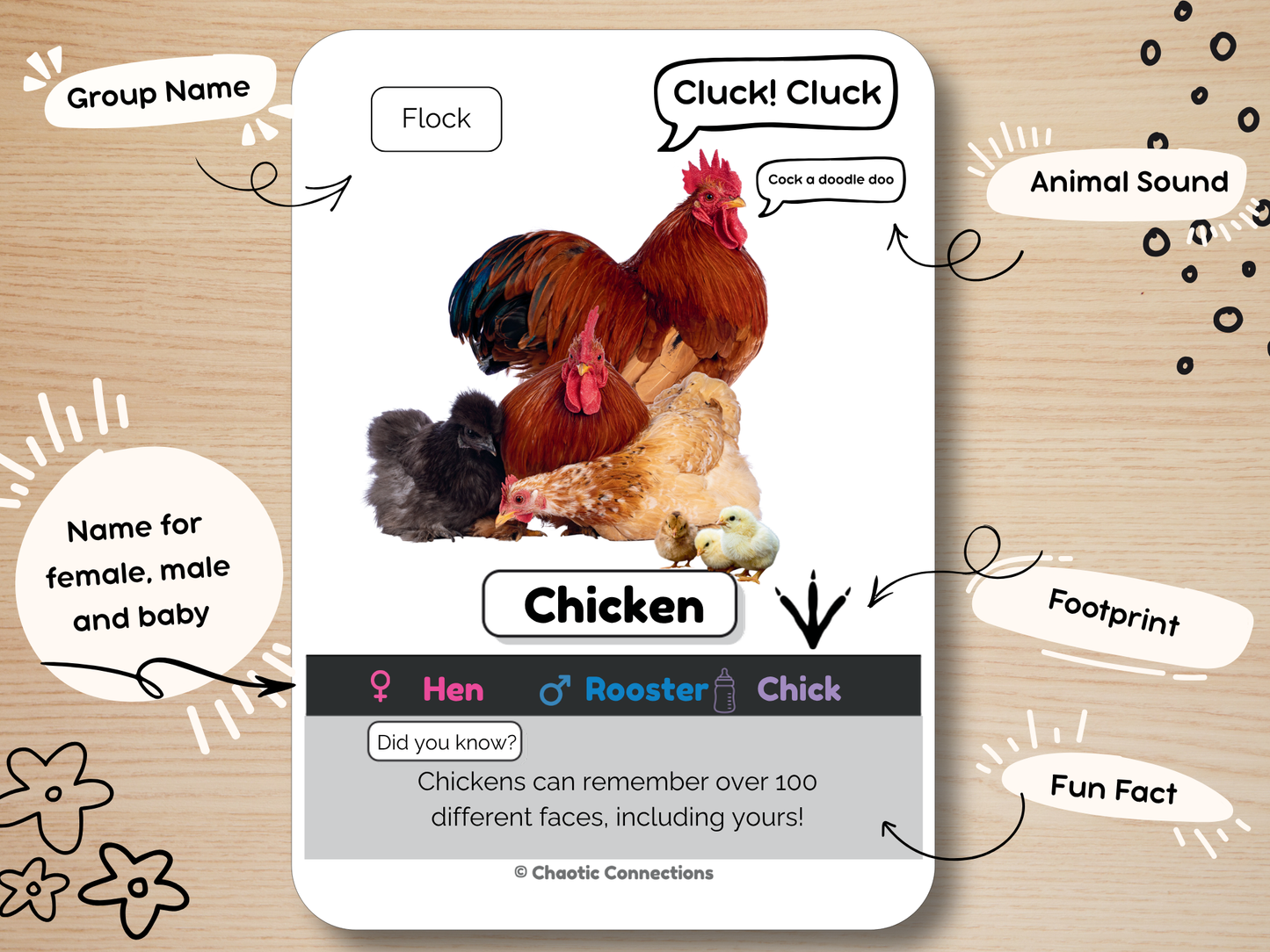 Farm Animal Photo Cards Bundle | Basic + Advanced Edition | 32 Real Photo Flash Cards | Printable Toddler Learning