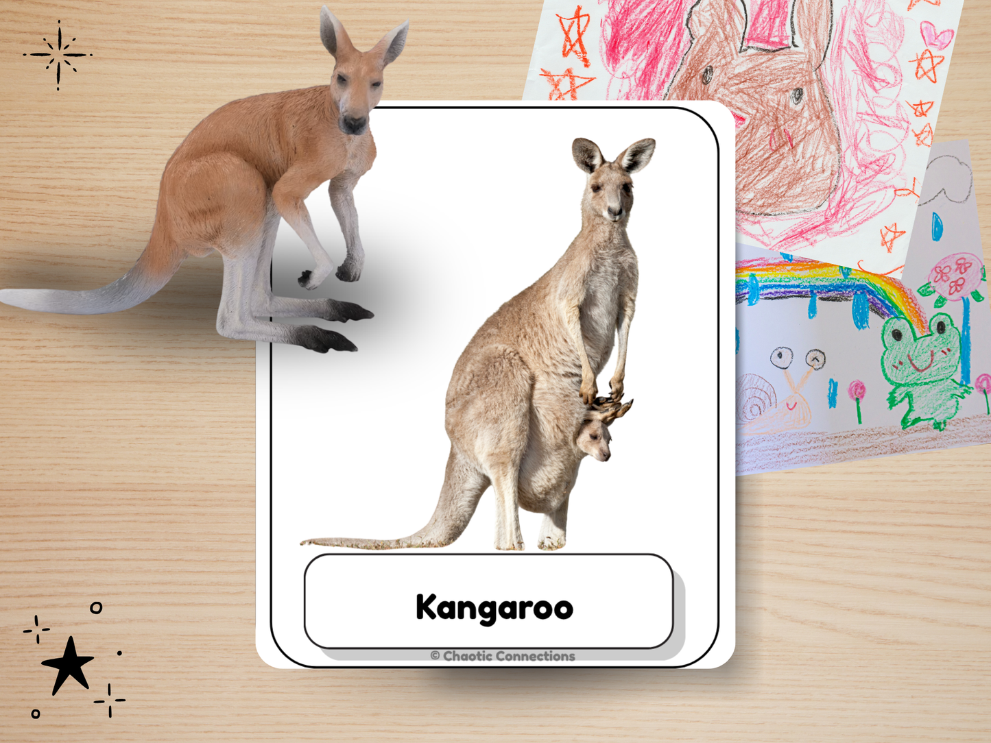 Zoo Animal Photo Cards | 60 Real Photo Flash Cards | Printable Toddler Learning Activity