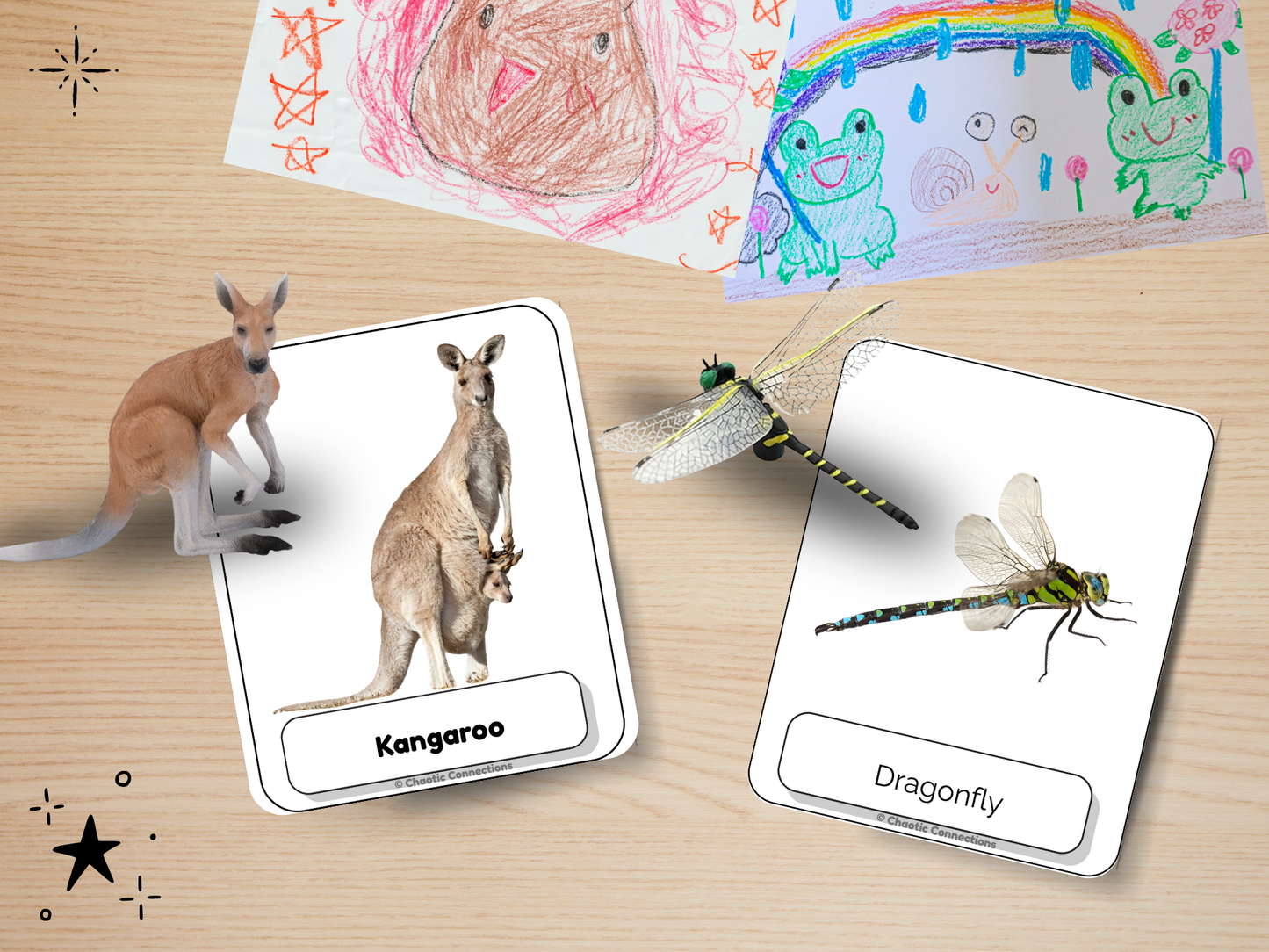 Zoo + Backyard Animal Photo Cards Bundle | 104 Real Photo Flash Cards | Printable Toddler Learning