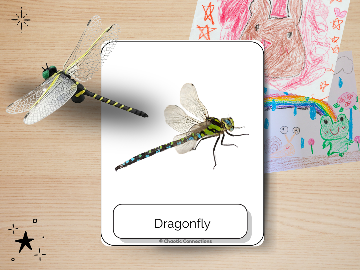 Backyard Animal Photo Cards | 44 Real Photo Flash Cards | Printable Nature Learning Activity