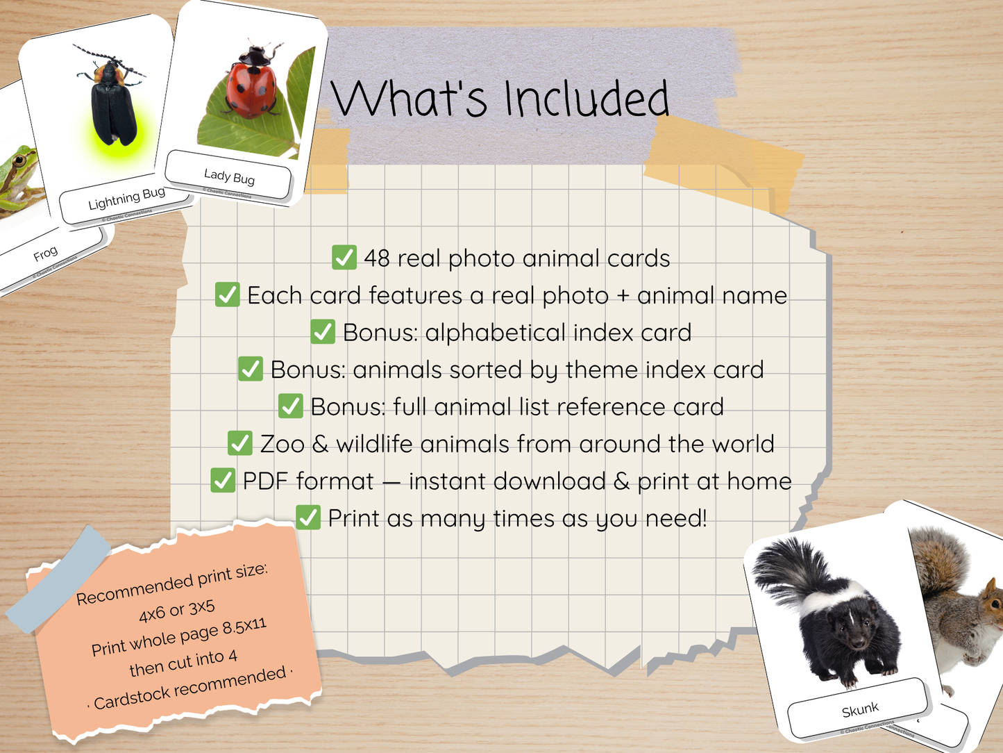 Backyard Animal Photo Cards | 44 Real Photo Flash Cards | Printable Nature Learning Activity