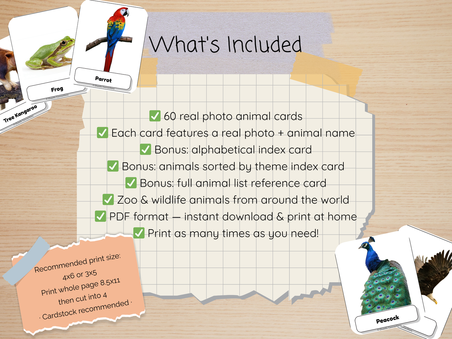 Zoo Animal Photo Cards | 60 Real Photo Flash Cards | Printable Toddler Learning Activity