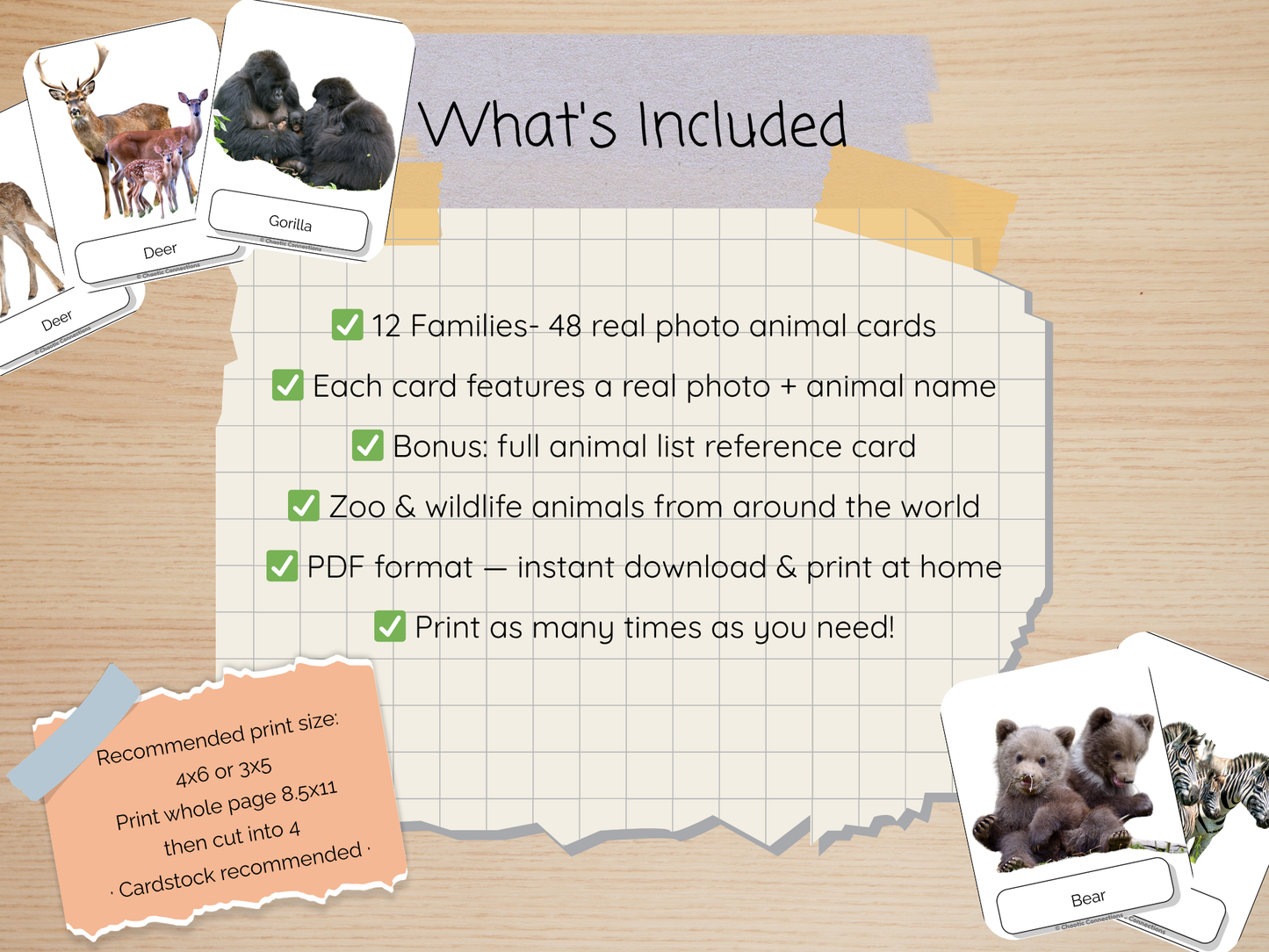 Animal Family Matching Cards | 48 Real Photo Cards | Printable Toddler Matching Activity