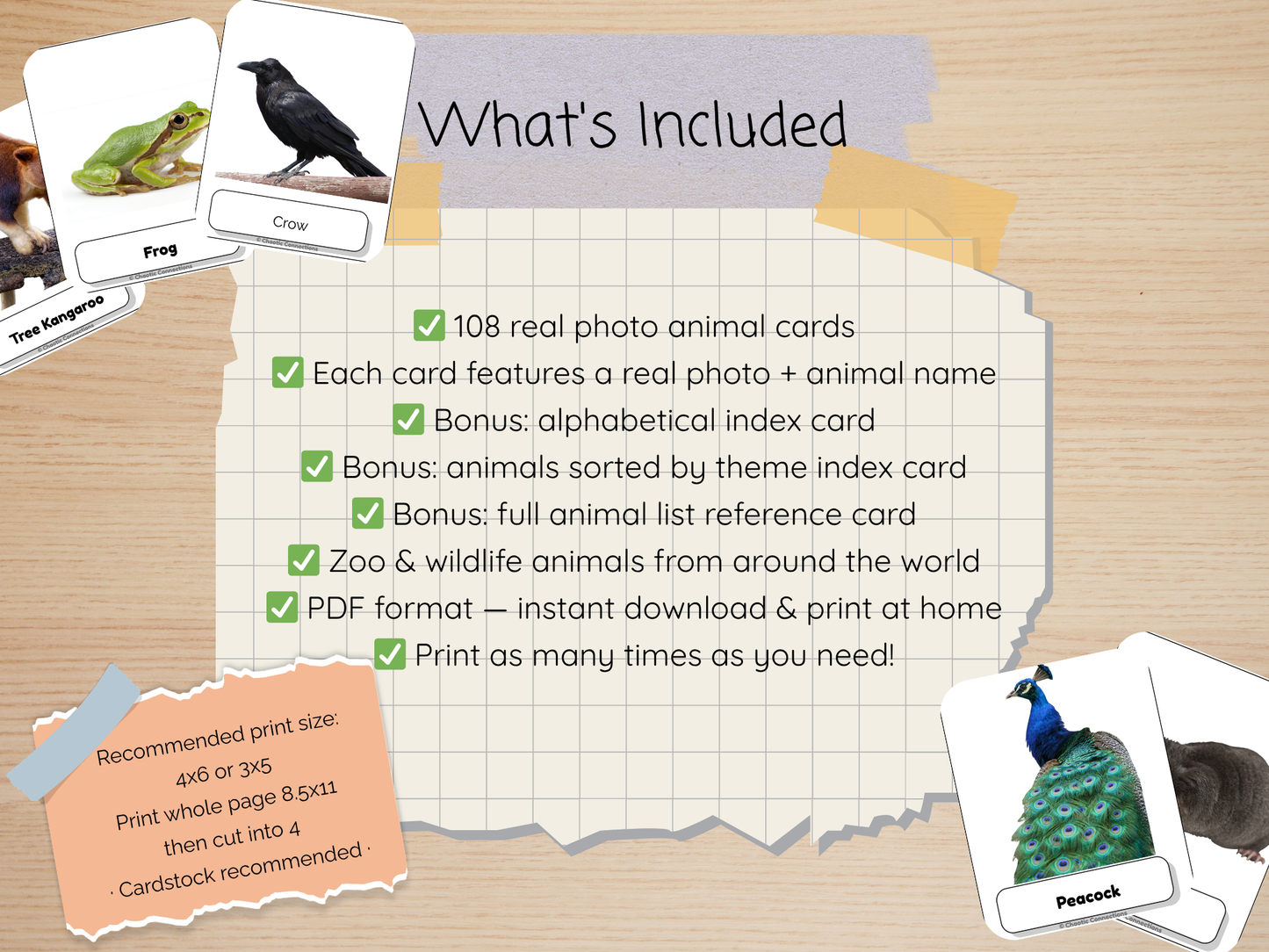 Zoo + Backyard Animal Photo Cards Bundle | 104 Real Photo Flash Cards | Printable Toddler Learning